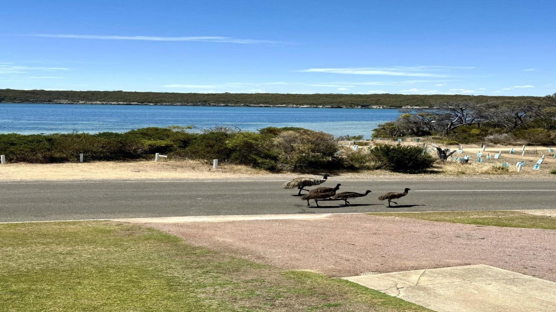 White Springs, Our Peaceful Holiday House In Coffin Bay Esterno foto